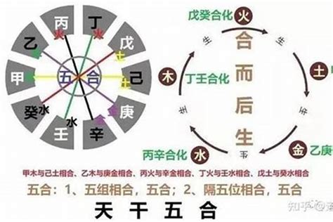 戊土|易学君：八字入门之戊土命